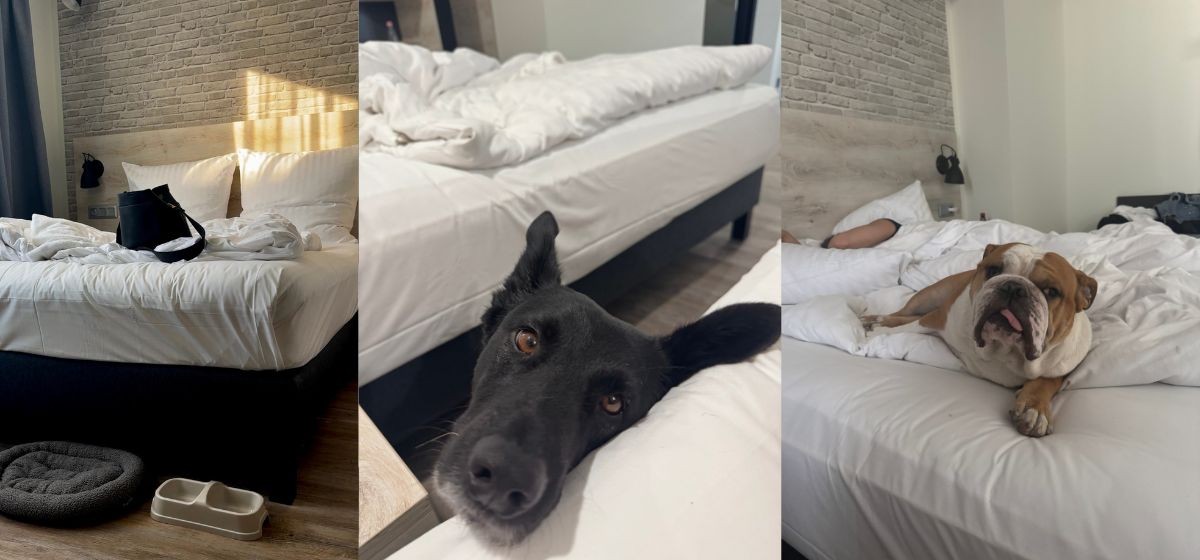 dogfriendly hotel budapešť